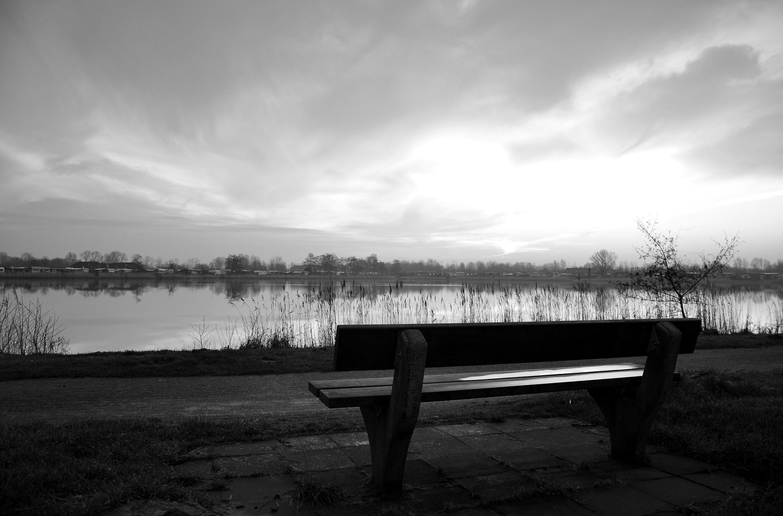brown wooden bench