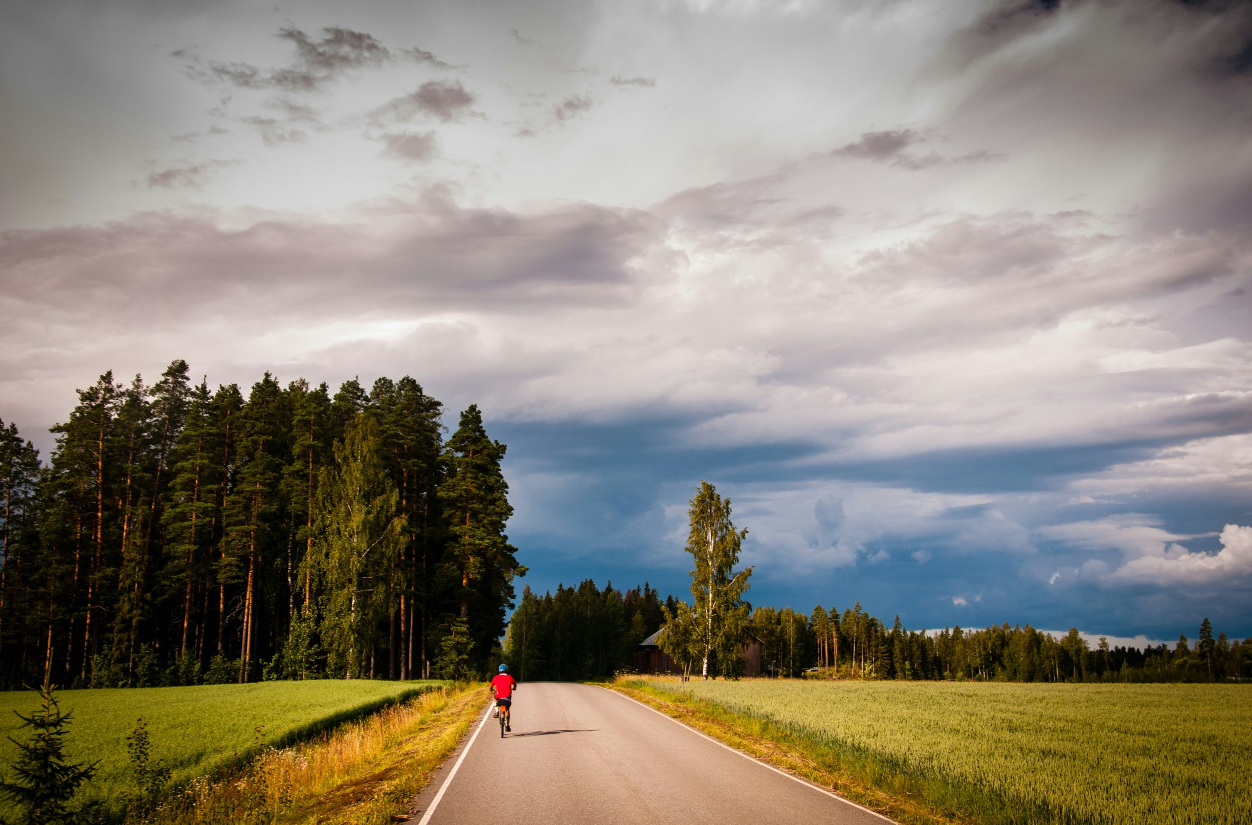 person walking on road near green trees