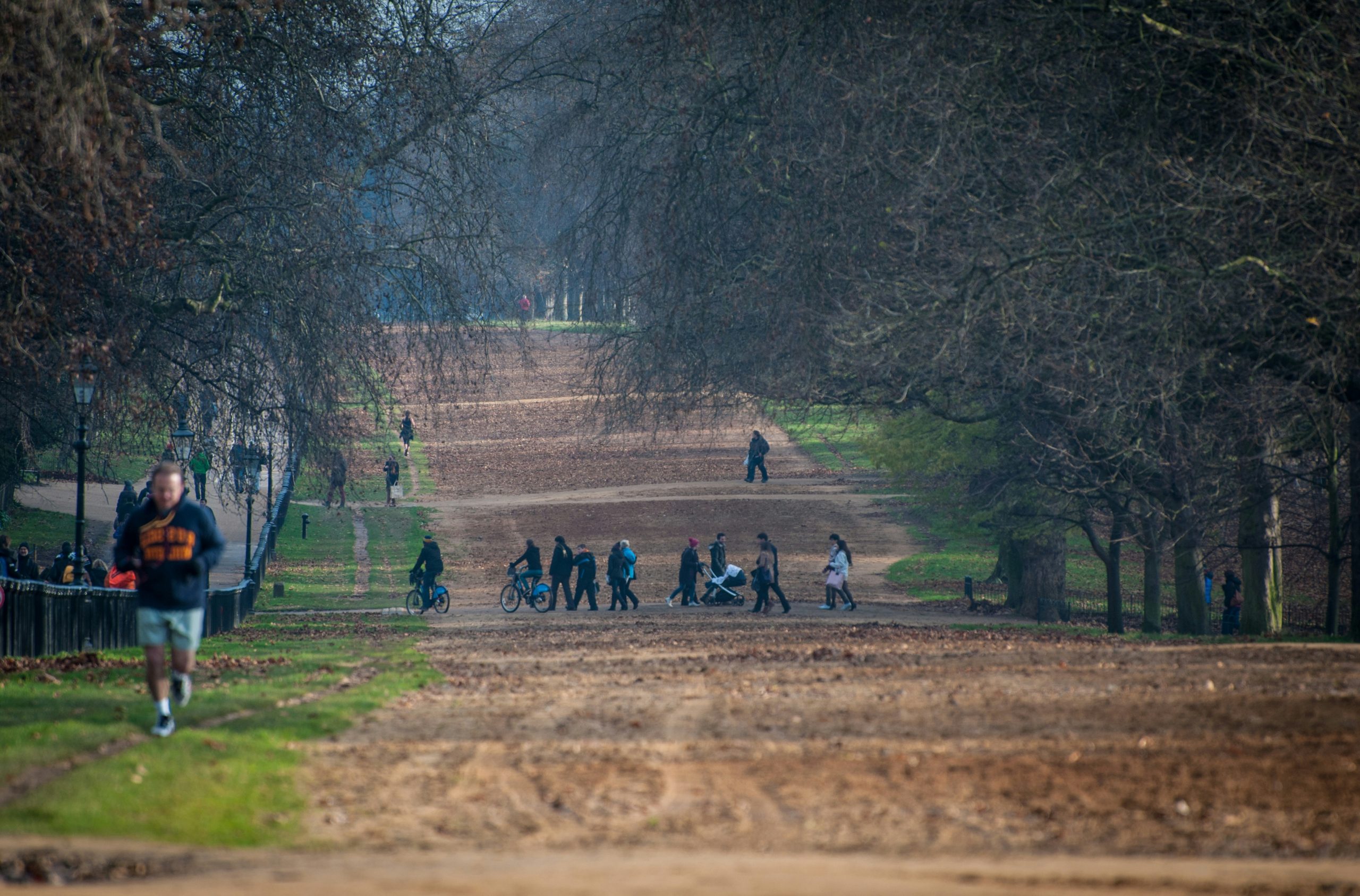 people standing on pathway