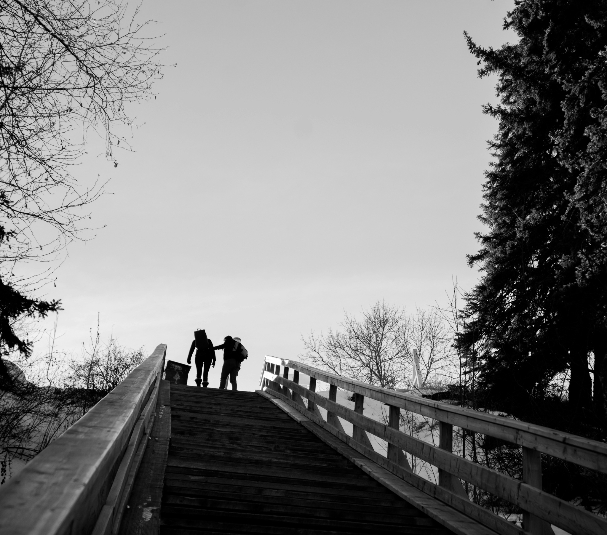 two people in a stairs near tree grey-scale photography