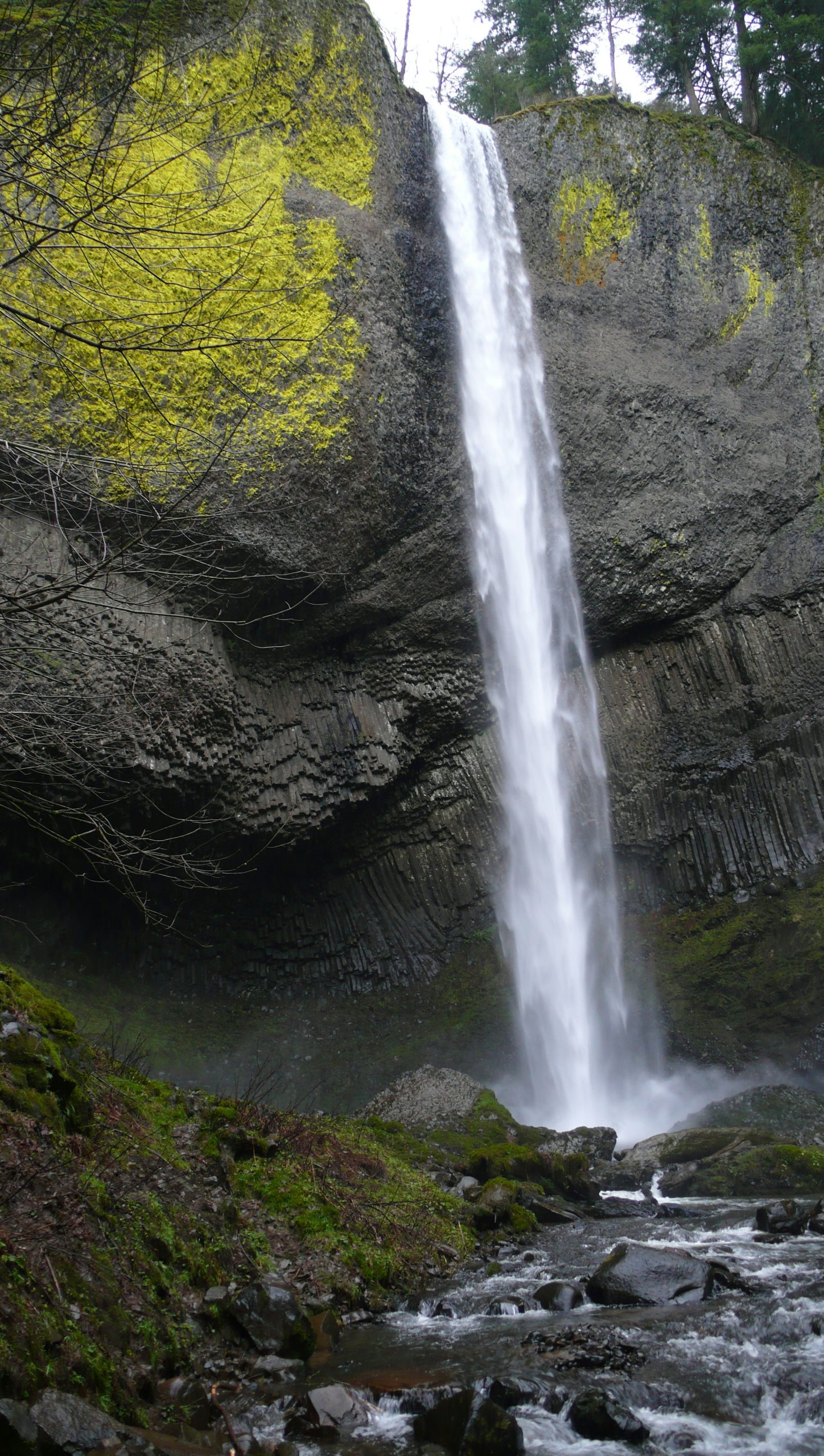 water falls in the middle of the forest