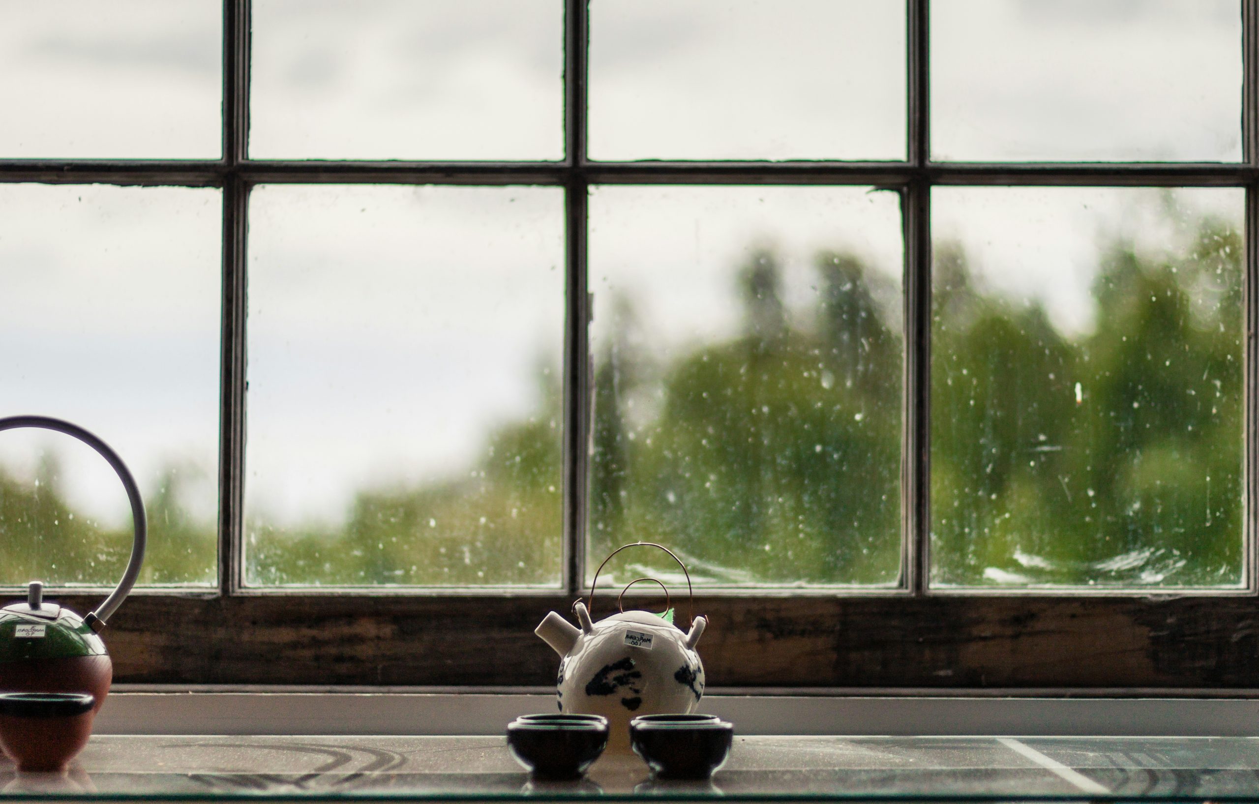 white and black cow figurine on window