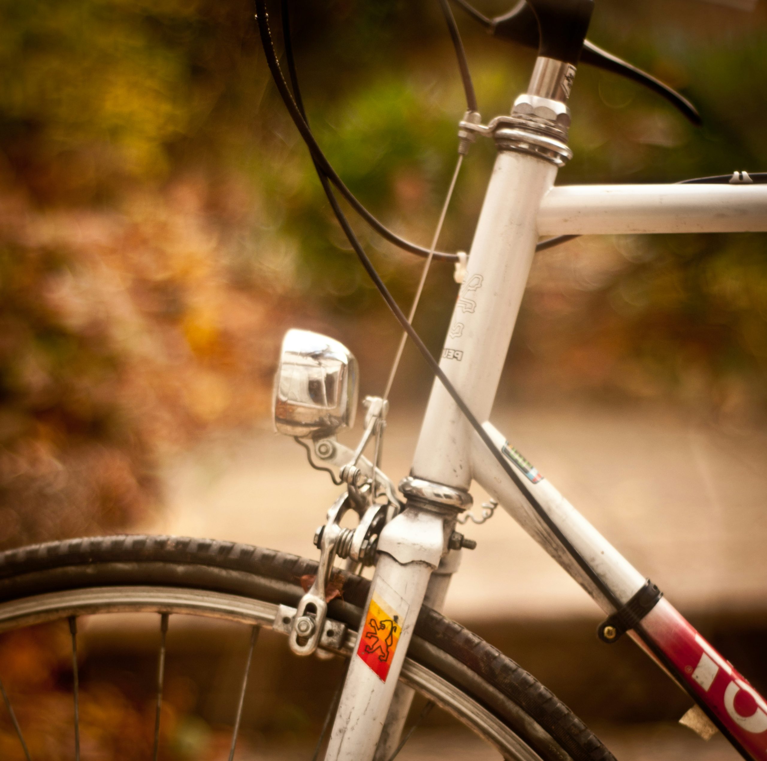 white bike fork