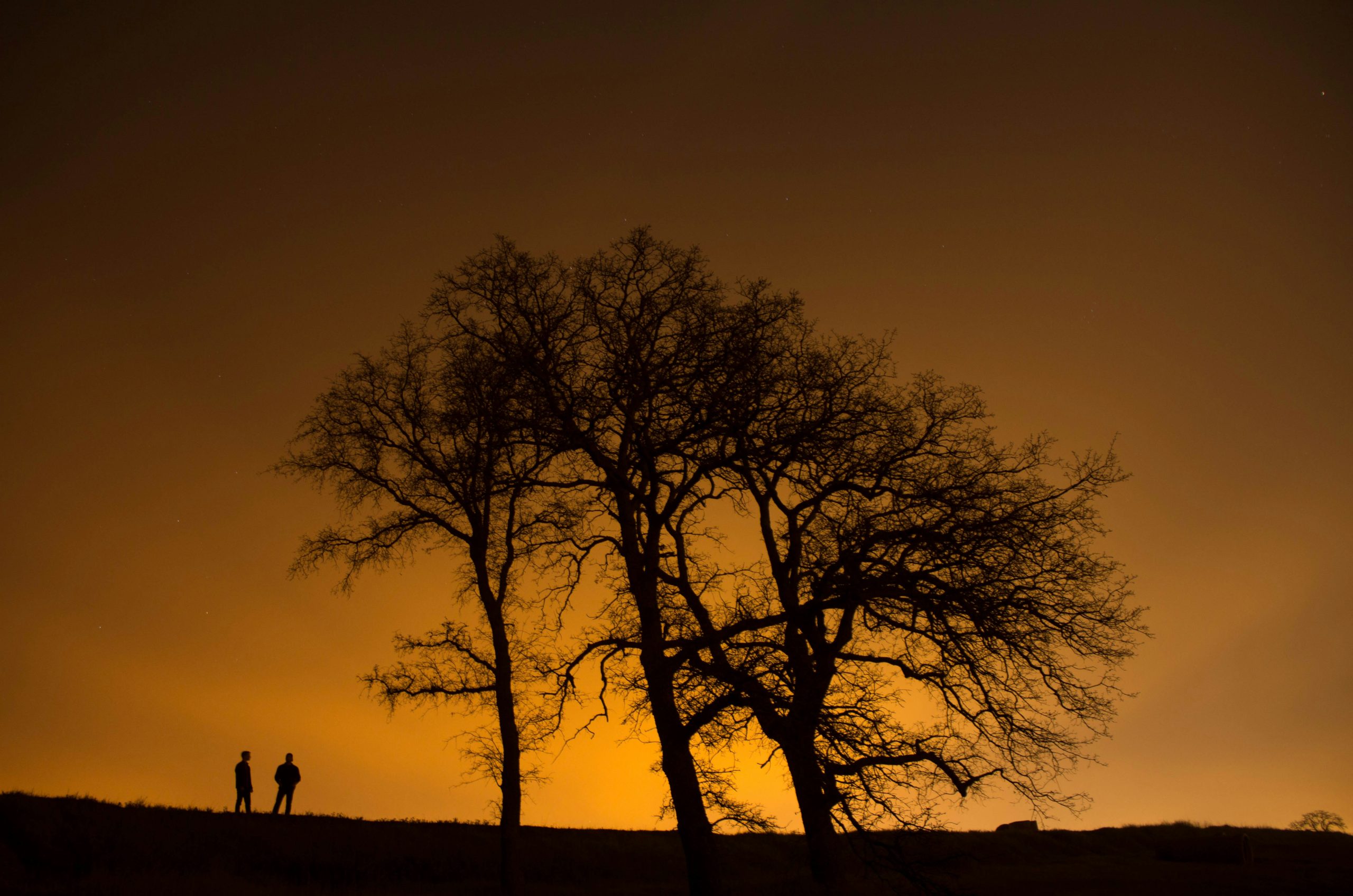 silhouette of man and woman near trees