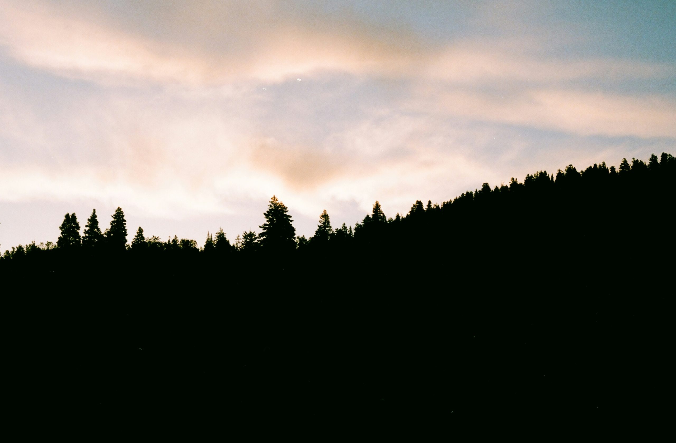 silhouette of trees under clouded sky