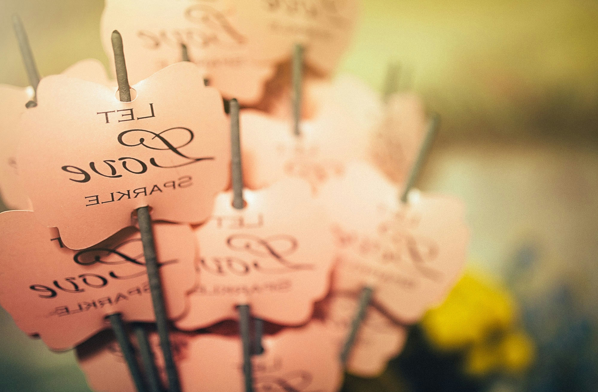 pink decors close-up photography